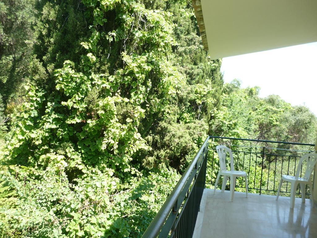 Karina Hotel Benitses  Buitenkant foto